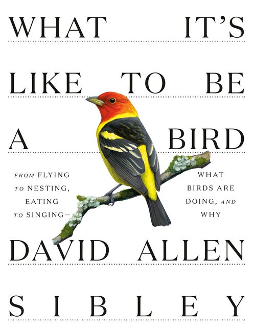 Item #300728 What It's Like to Be a Bird: From Flying to Nesting, Eating to Singing--What Birds...