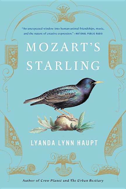 Item #301072 Mozart's Starling. Lyanda Lynn Haupt