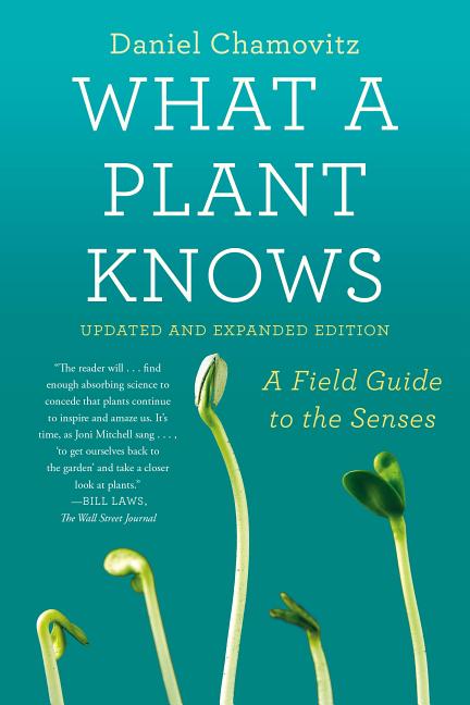 Item #301067 What a Plant Knows: A Field Guide to the Senses: Updated and Expanded Edition. Daniel Chamovitz.