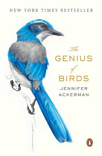 Item #301070 The Genius of Birds. Jennifer Ackerman.