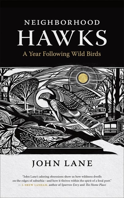 Item #301079 Neighborhood Hawks: A Year Following Wild Birds. John Lane, Helen Correll, Cartographer