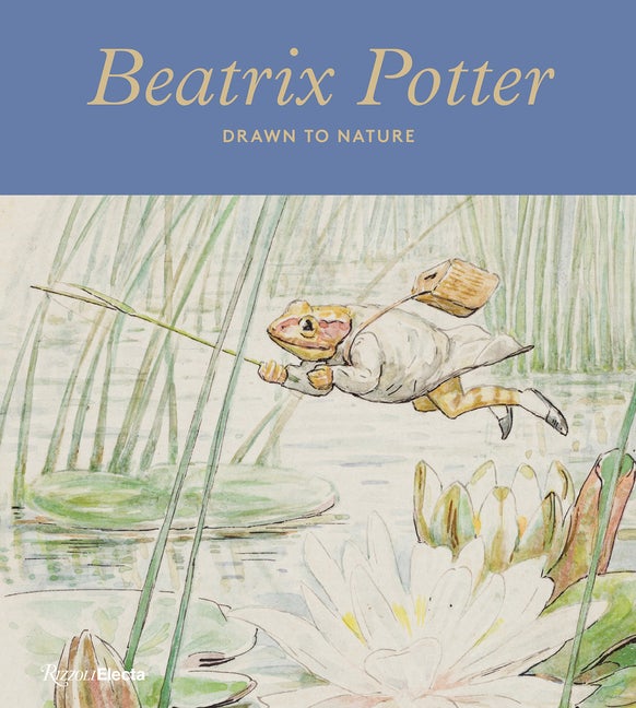 Item #304060 Beatrix Potter: Drawn to Nature. Annemarie Bilclough, Richard Fortey, Sarah Glenn,...