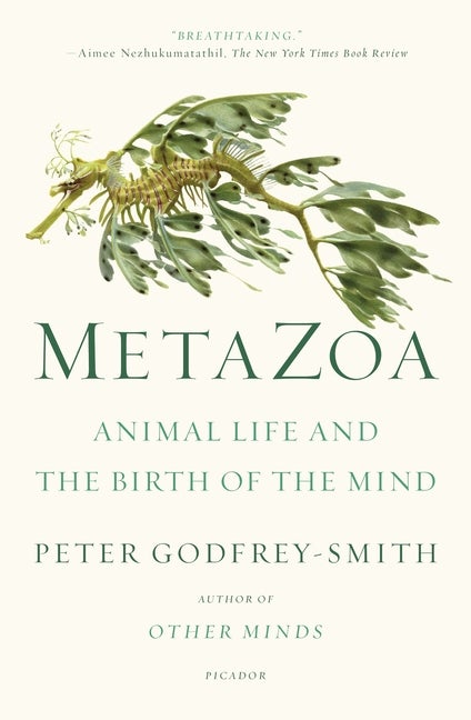 Item #303775 Metazoa: Animal Life and the Birth of the Mind. Peter Godfrey-Smith