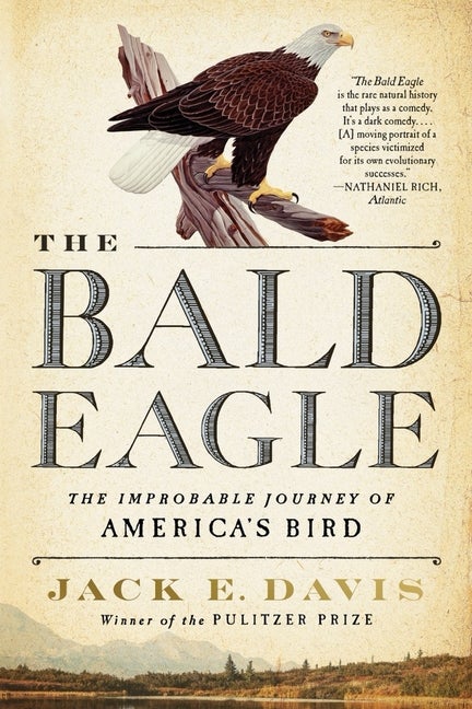 Item #304516 The Bald Eagle: The Improbable Journey of America's Bird. Jack E. Davis