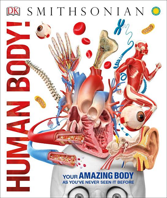 Item #303011 Human Body! DK, Smithsonian Institution