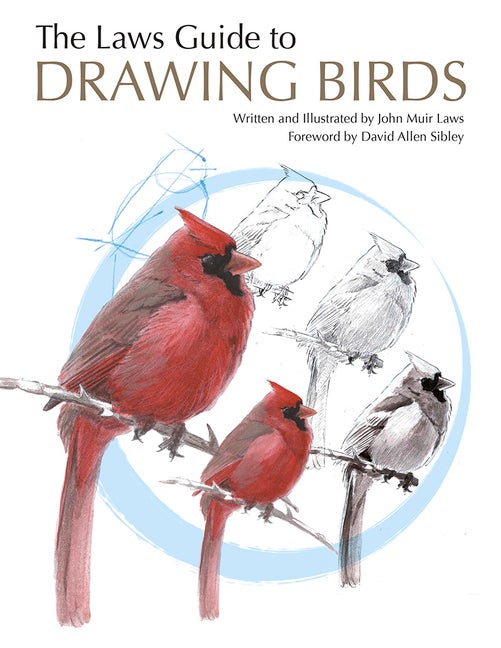 Item #300682 The Laws Guide to Drawing Birds. John Muir Laws