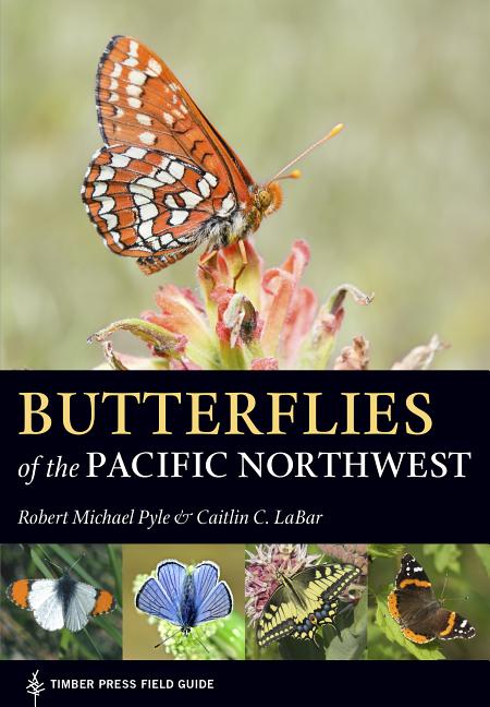 Item #300735 Butterflies of the Pacific Northwest. Robert Michael Pyle, Caitlin C. Labar.