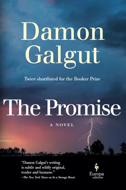 Item #303680 The Promise. Damon Galgut