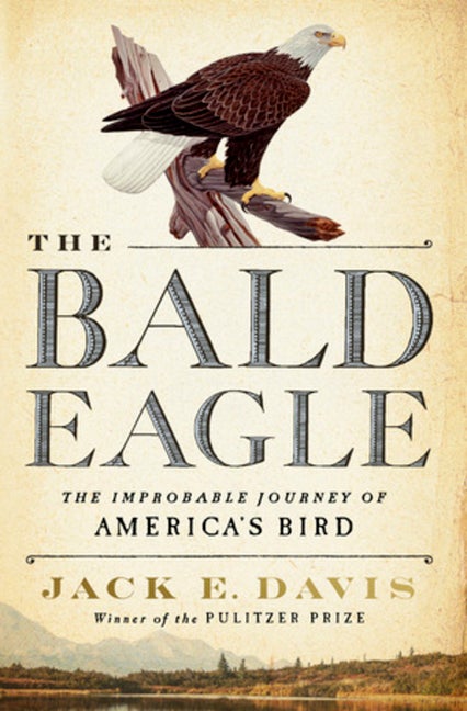 Item #304008 The Bald Eagle: The Improbable Journey of America's Bird. Jack E. Davis