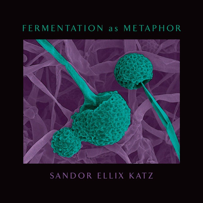 Item #303099 Fermentation as Metaphor: Follow Up to the Bestselling "the Art of Fermentation"...