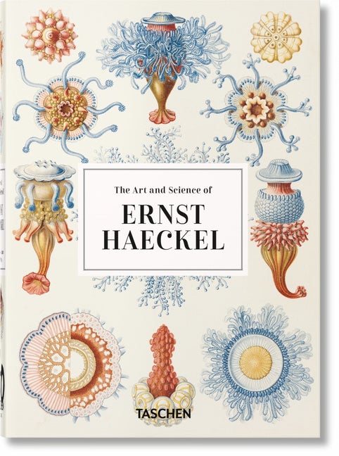 Item #302914 Ernst Haeckel - 40th Anniversary Edition. Rainer Willmann, Julia Voss