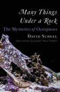 Item #304409 Many Things Under a Rock: The Mysteries of Octopuses. David Scheel, Laurel Yoyo Scheel
