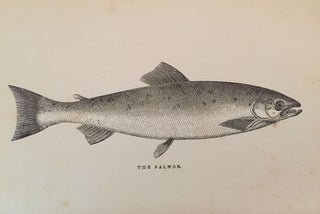 The American Angler's Book: And the Art of Taking Them. With Instructions in Fly-Fishing, Fly-Making, and Rod-Making; and Directions for Fish-Breeding. To Which is Appended, Dies Picatoriae: Describing Noted Fishing-Places, & the Pleasure of Solitary Fly Fishing