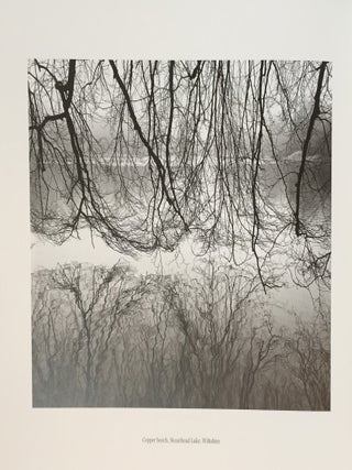 Land (Signed Limited Edition)