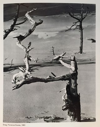 The Heritage of Edward Weston: An Exhibition; A Tribute