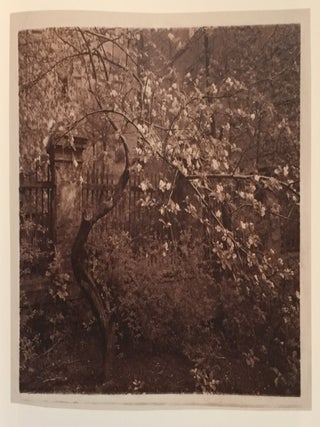 The Intimate World of Josef Sudek