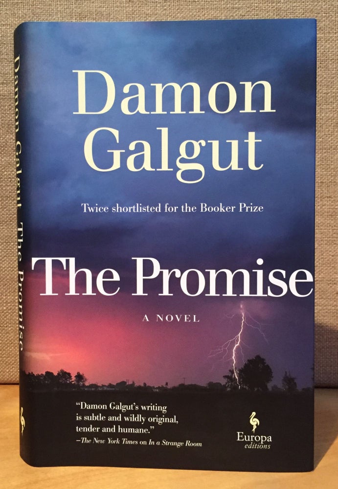 Item #901080 The Promise. Damon Galgut.