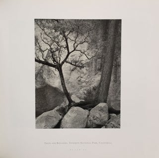 Listen to the Trees
