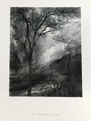 Brett Weston: Master Photographer