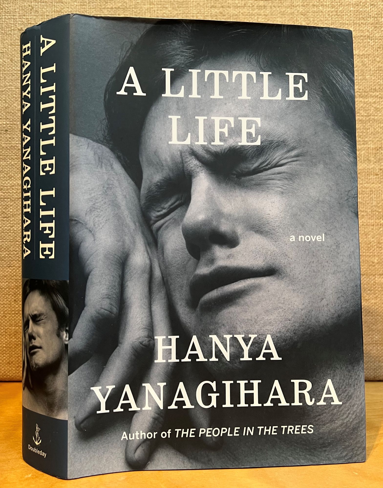 A Little Life by Hanya Yanagihara — Bookmarkparty