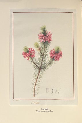 A Catalogue of Redouteana Exhibited at the Hunt Botanical Library, 21 April to 1 August 1963
