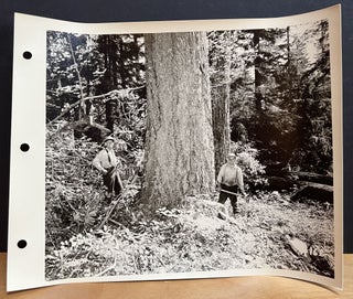 Booth-Kelly Lumber Company Photograph Album