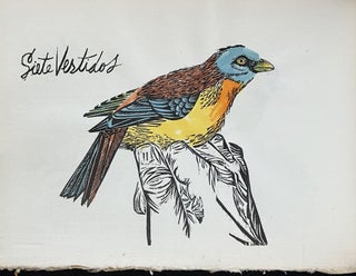 Birds from my Homeland; With Notes from W. H. Hudson's "Birds of La Plata"
