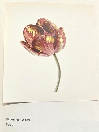 Tulips &Tulipomania (Signed)