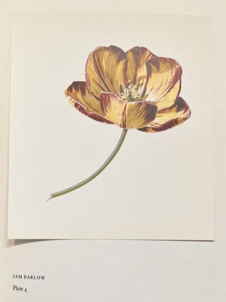 Tulips &Tulipomania (Signed)