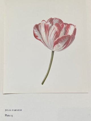 Tulips &Tulipomania (Signed)