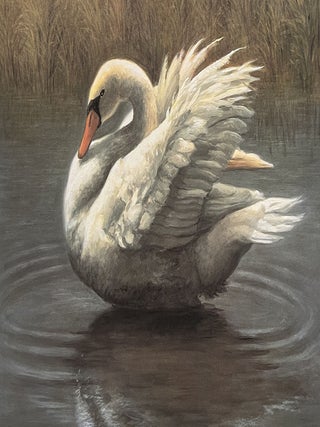 The Ugly Duckling (Signed)