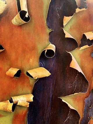 Bark: A Intimate Look at the World's Trees