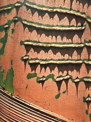 Bark: A Intimate Look at the World's Trees