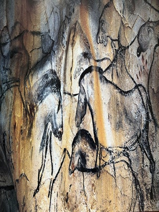 Item #902320 Dawn of Art: The Chauvet Cave: The Oldest Known Paintings in the World. Translation,...
