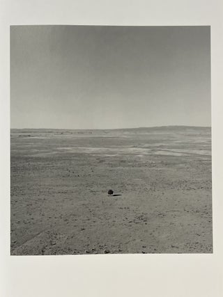 Robert Adams: Tree Line - Hasselblad Award 2009