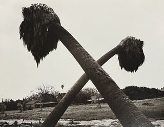 Los Angeles Spring