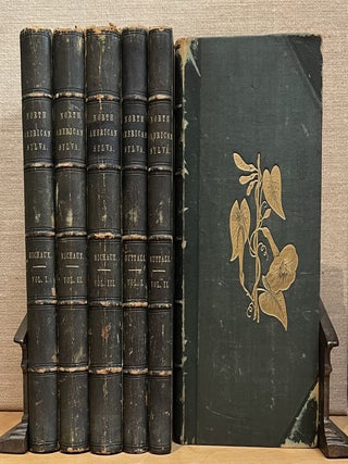 Item #902405 The North American Sylva, Or A Description of the Forest Trees of the United States,...