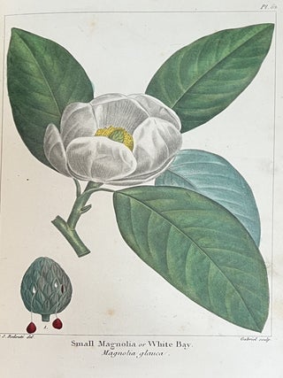 The North American Sylva, Or A Description of the Forest Trees of the United States, Canada and Nova Scotia, Considered Particularly with Respect to Their Use in the Arts, and Their Introduction into Commerce; To Which is Added A Description of the Most Useful of the European Forest Trees (3 Volumes) & The North American Sylva, Or A Description of the Forest Trees of the United States, Canada and Nova Scotia...Not Described in the Work of F. Andrew Michaux (3 Volumes) - 6 Volumes Complete