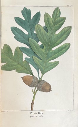 The North American Sylva, Or A Description of the Forest Trees of the United States, Canada and Nova Scotia, Considered Particularly with Respect to Their Use in the Arts, and Their Introduction into Commerce; To Which is Added A Description of the Most Useful of the European Forest Trees (3 Volumes) & The North American Sylva, Or A Description of the Forest Trees of the United States, Canada and Nova Scotia...Not Described in the Work of F. Andrew Michaux (3 Volumes) - 6 Volumes Complete