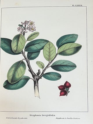 The North American Sylva, Or A Description of the Forest Trees of the United States, Canada and Nova Scotia, Considered Particularly with Respect to Their Use in the Arts, and Their Introduction into Commerce; To Which is Added A Description of the Most Useful of the European Forest Trees (3 Volumes) & The North American Sylva, Or A Description of the Forest Trees of the United States, Canada and Nova Scotia...Not Described in the Work of F. Andrew Michaux (3 Volumes) - 6 Volumes Complete