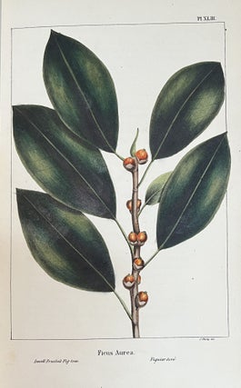The North American Sylva, Or A Description of the Forest Trees of the United States, Canada and Nova Scotia, Considered Particularly with Respect to Their Use in the Arts, and Their Introduction into Commerce; To Which is Added A Description of the Most Useful of the European Forest Trees (3 Volumes) & The North American Sylva, Or A Description of the Forest Trees of the United States, Canada and Nova Scotia...Not Described in the Work of F. Andrew Michaux (3 Volumes) - 6 Volumes Complete