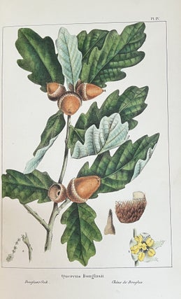 The North American Sylva, Or A Description of the Forest Trees of the United States, Canada and Nova Scotia, Considered Particularly with Respect to Their Use in the Arts, and Their Introduction into Commerce; To Which is Added A Description of the Most Useful of the European Forest Trees (3 Volumes) & The North American Sylva, Or A Description of the Forest Trees of the United States, Canada and Nova Scotia...Not Described in the Work of F. Andrew Michaux (3 Volumes) - 6 Volumes Complete