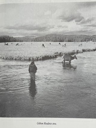 Fishing Yellowstone Waters