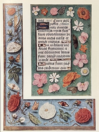 The Art of Botanical Illustration