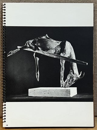 Photographs by Lee Boltin of Sculpture from the Collection of The Museum of Modern Art